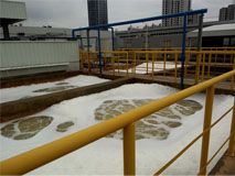 ��Ũ���л���ˮ